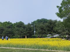 -北坞公园