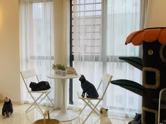 -团子家猫咪猫咖馆·柯基·柯尔鸭