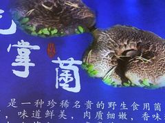 -大理董·董家小厨野生菌火锅(古城旗舰店)