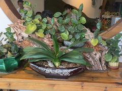 -茶油香闽南菜·花园餐厅(前埔店)