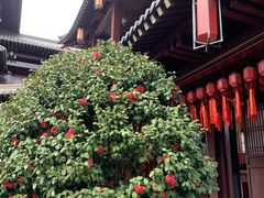 -香积寺
