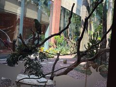 -麒麟中餐厅·经典粤菜·地道菜式老字号(广州长隆酒店)