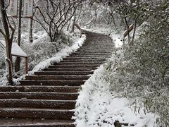 -杭州半山国家森林公园