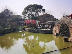 -新场古镇-停车场