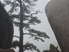 -天柱山风景区