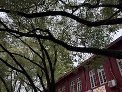-马王堆汉墓遗址