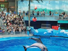 -海合安成都极地海洋公园