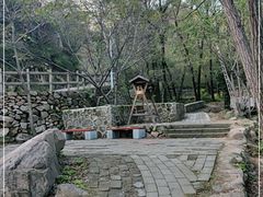 -大岭沟猕猴桃谷风景区