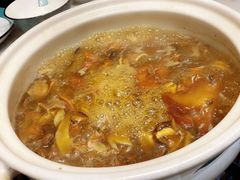 野生菌汤锅-大理董·董家小厨野生菌火锅(古城旗舰店)