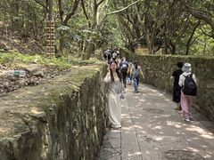 -普陀山风景区-佛顶山