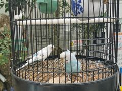 -丽江庭院之丽江往事(安定门店)