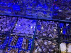-青蓬蒸汽海鲜·深圳老字号·团建聚会(壹方城店)