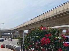 -南方毅源大酒店(广州番禺长隆南村万博地铁站店)