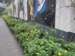 -泡桐树街