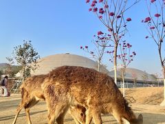 -盈香心动乐园