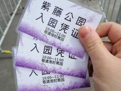 -嘉定紫藤园