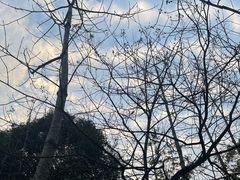 -广州市白云山风景名胜区