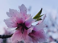 -绿岛公园(滨海新区)