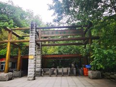 -牛背梁国家森林公园