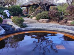 -航空小镇温泉