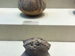 -广东中医药博物馆