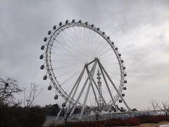 -日照海滨国家森林公园