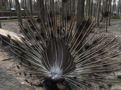 -昆山城市生态森林公园