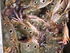 -桃源咖啡厅(武夷山大红袍山庄店)