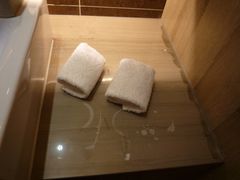 擦手巾-西安大雁塔科技大学地铁站亚朵酒店