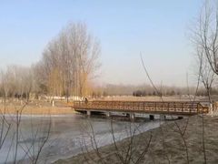 -东郊湿地公园