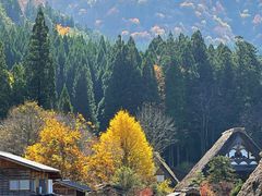 -白川乡与五箇山的合掌构造村落