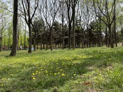-洨河生态公园