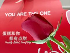-多乐之日(颐堤港店)