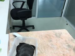-美美宠物诊疗中心·异宠·骨科(滨江东信分院)