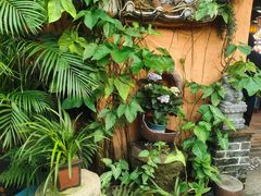 -园林美食城·本土农家菜(杨和镇店)