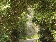 -镇江市南山风景名胜区竹林景区