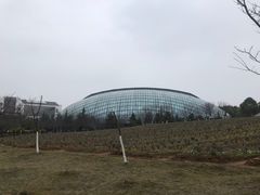 -三江森林温泉度假区