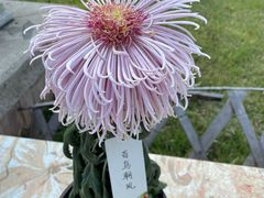 -国家植物园