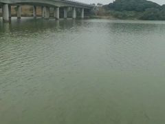 -松山湖南湖湾露营营地