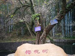 景点-广东温泉宾馆