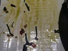 -米特.新派中国菜(锦绣江南店)