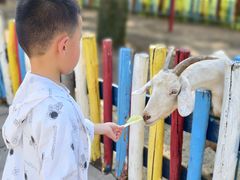 -西部长青自然儿童乐园