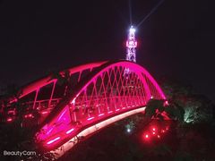 -金鸡山公园