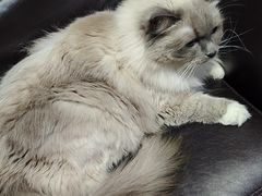 -零纪元VR体验馆·桌游(黄浦店)