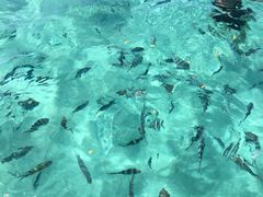 -蓝湾海滩
