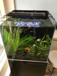 -星童star.kids儿童发型设计·满月胎发(玉兰花园店)