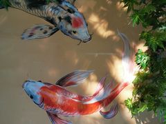 -巢爷老味(东方红店)