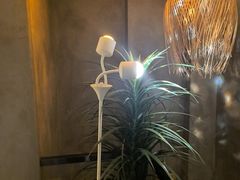 -施奈儿.洗头頭療.按摩SPA.采耳(上梅林店)