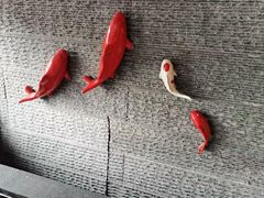 -爱妻鱼•老体北重庆水煮鱼•川菜(白云路店)