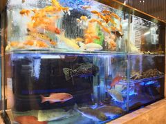-稻香迎囍皇宫(港惠店)